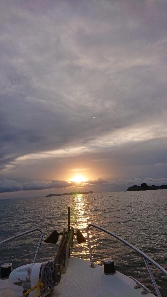 鯛ラバなのに鯛坊主