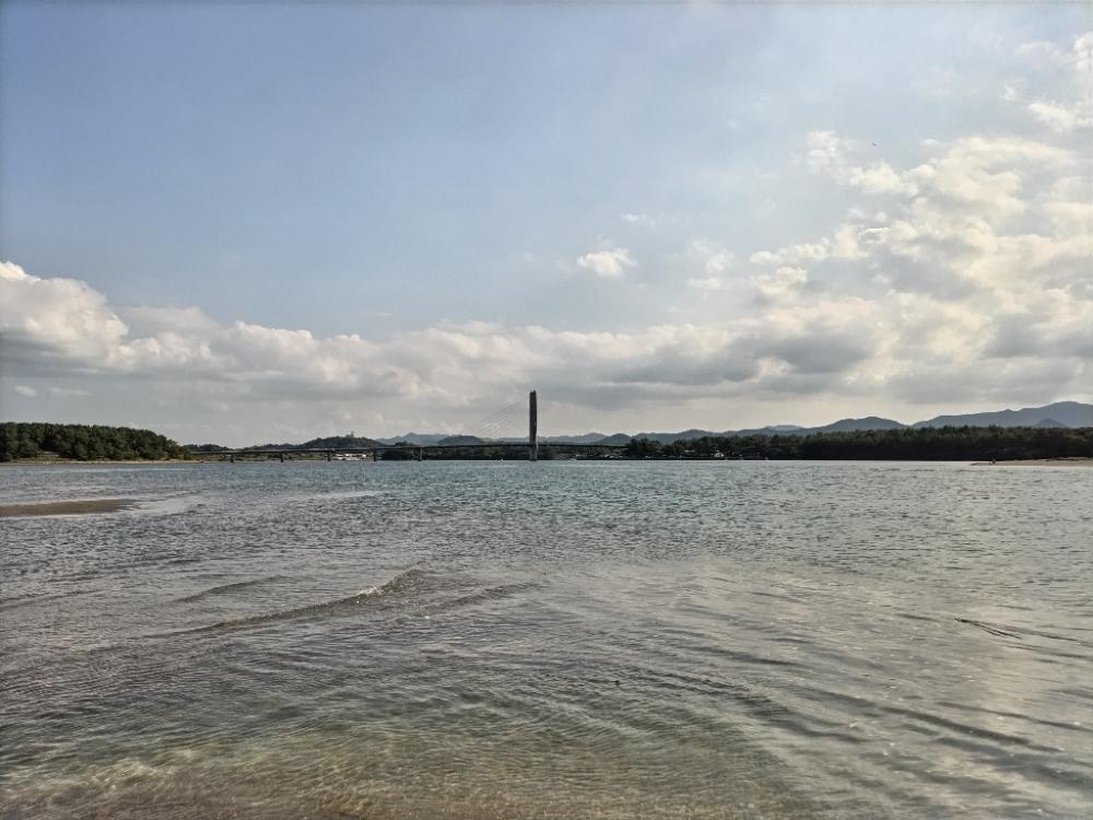 マゴチが釣れました!