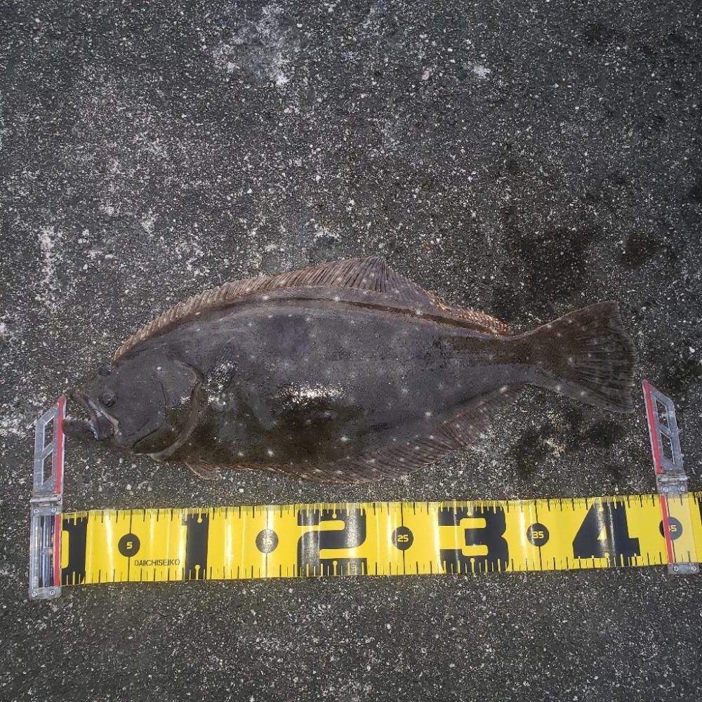 オレンジ色の憎いヤツ！