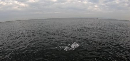 今日はジグがよくあたる(*^^*)