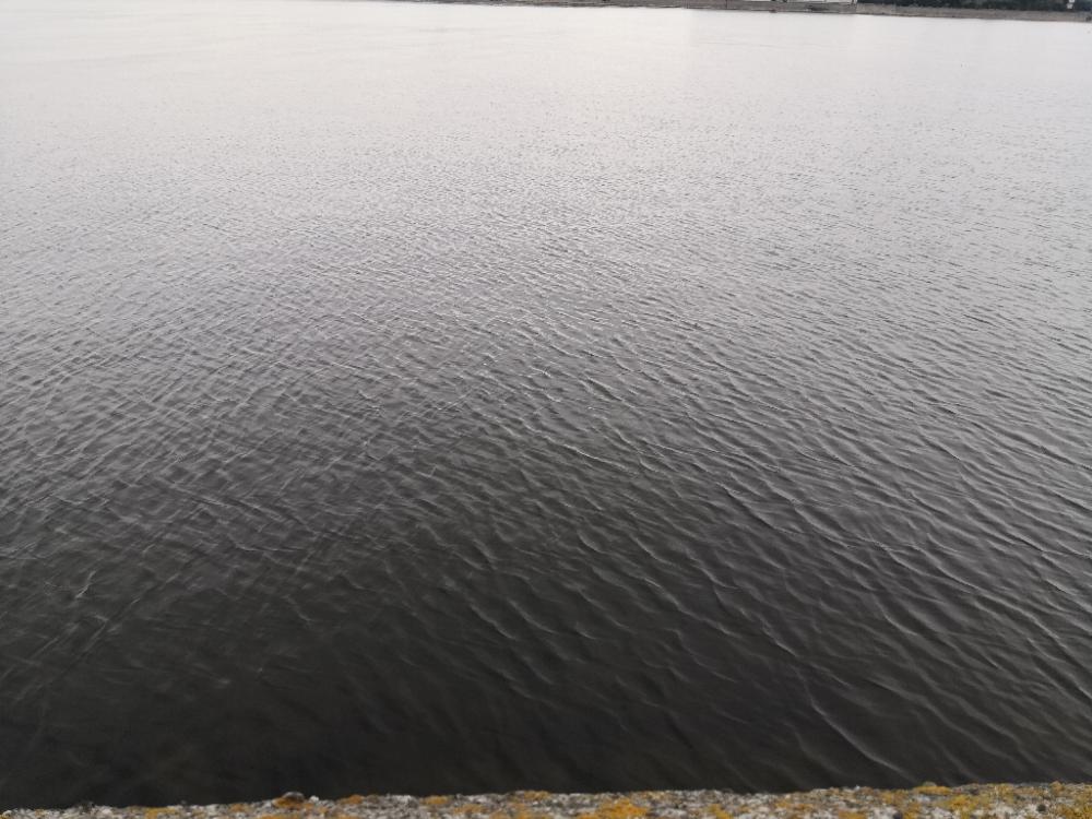 ショアジギングでメジロ2