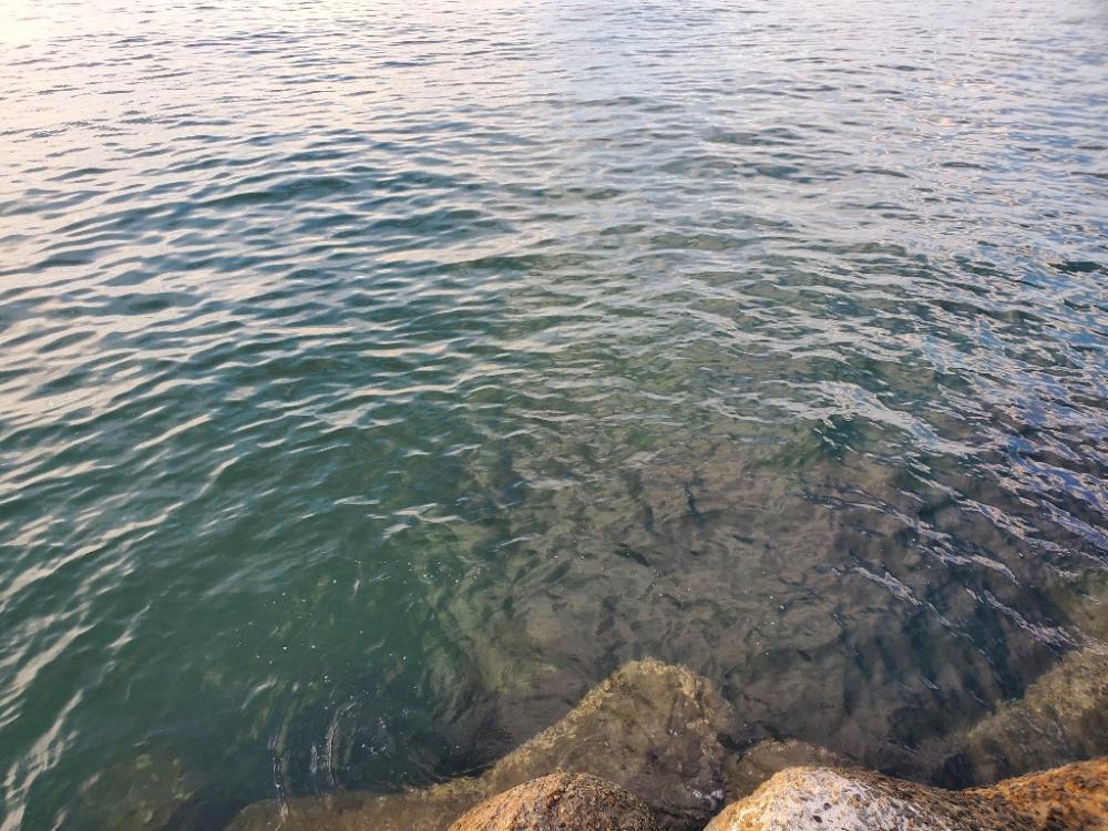 誘い方の問題？