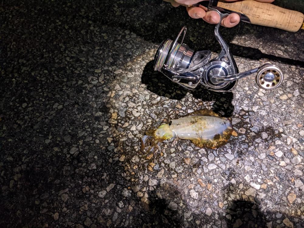 爆風の中6杯(-x-*)…