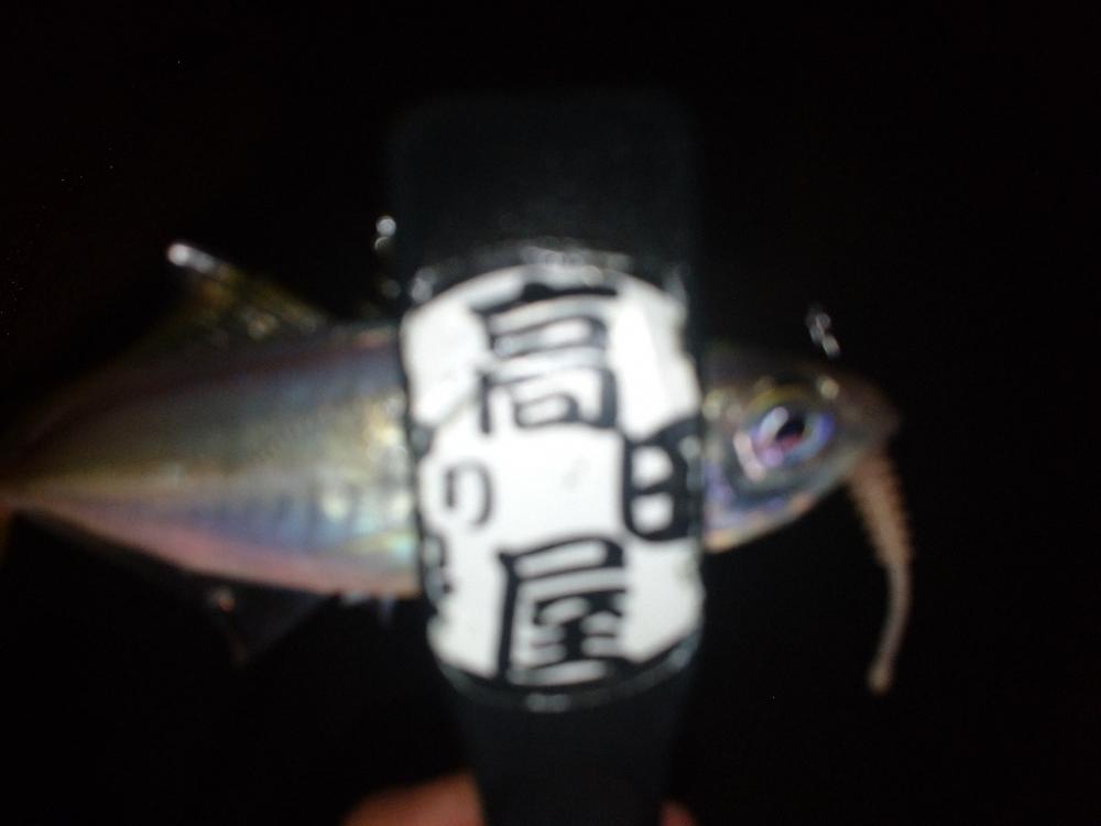 今夜はややむず