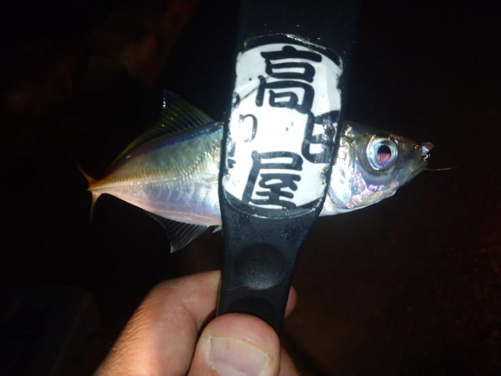 やっちまったな～😂