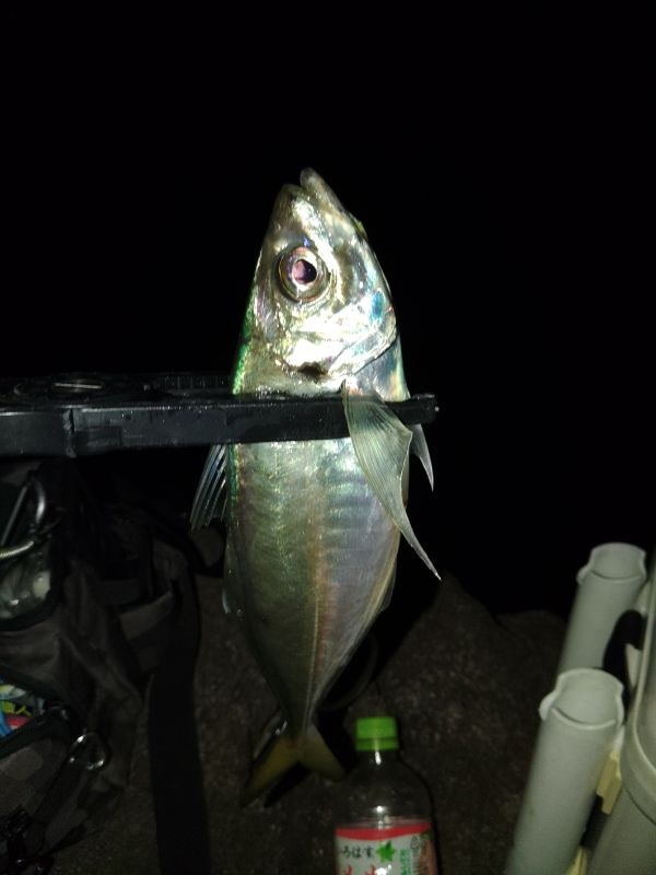 フロートゲーム