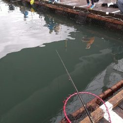 天候不良でも海上釣り堀へ☆