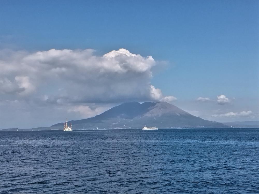 一ヶ月ぶりのネイゴ!(カンパチ)