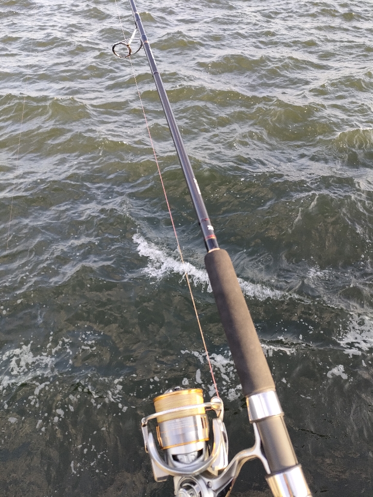 青物狙いでどちら様ですか!?