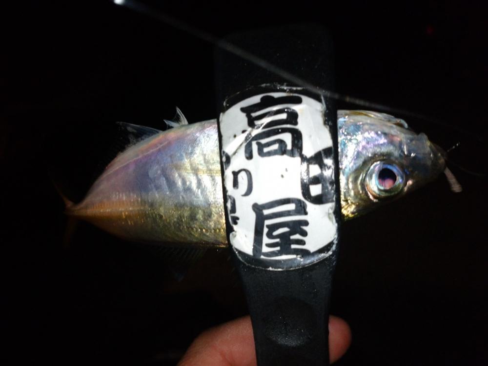 姫アジチャレンジ