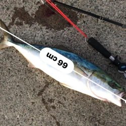 ゆうまづめの一瞬のチャンスで！