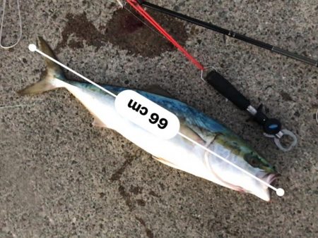 ゆうまづめの一瞬のチャンスで！