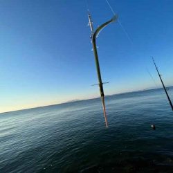 メジロゲットで姫路ショアジギング開幕！