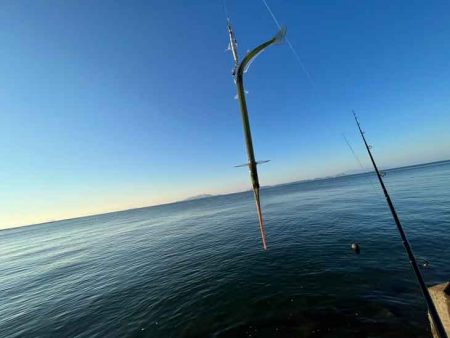 メジロゲットで姫路ショアジギング開幕！