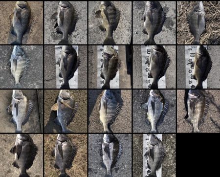 イチノ兄弟、釣果！