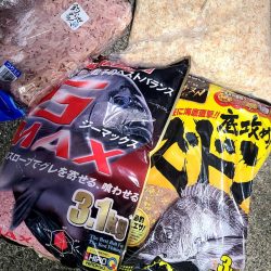 和歌山市江（吉丸渡船）で磯フカセ