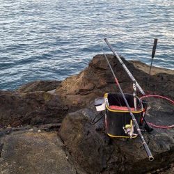 和歌山市江(吉丸渡船)で磯フカセ