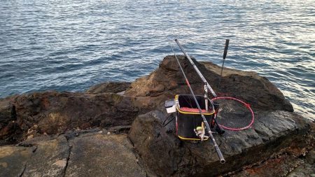 和歌山市江(吉丸渡船)で磯フカセ