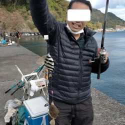 胴付き仕掛けで五目釣り