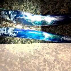 やっと釣れた！タチウオ