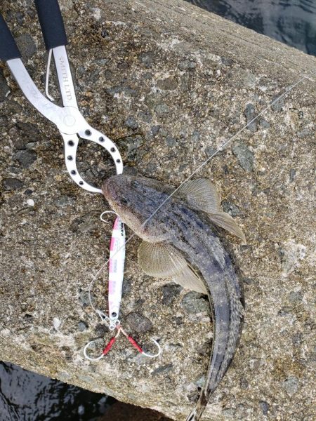 底モン、青モン狙い出撃