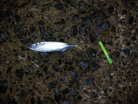 プチsalt water game