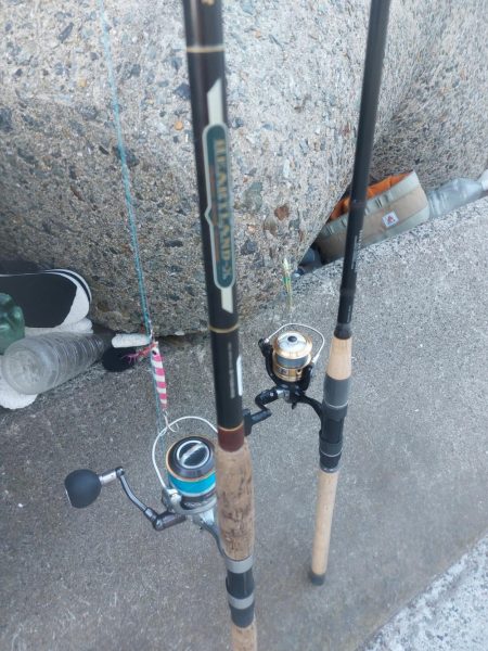 プチsalt water game