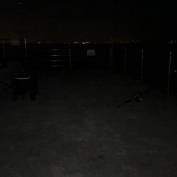 初めての太刀魚釣り