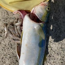 3バイト1キャッチ