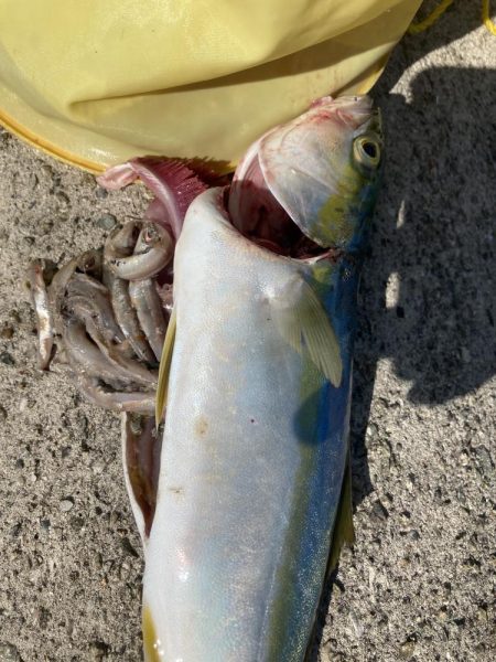 3バイト1キャッチ