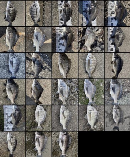 イチノ兄弟(兄)、釣果!