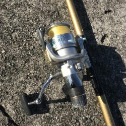 ヤエンでアオリイカ3杯GET