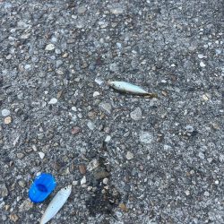 最高のロケーションで釣り！