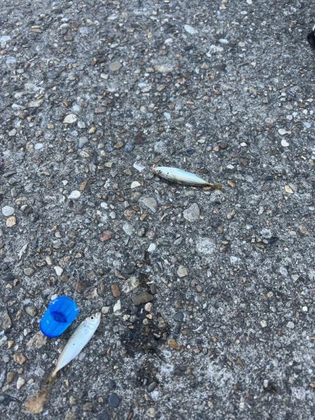 最高のロケーションで釣り！