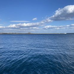 胴突き釣りでまさかの良型のドンコ!!!