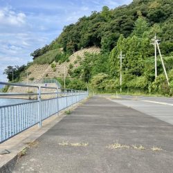 サヨリに会いたくて