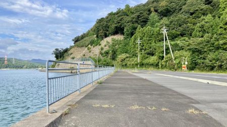 サヨリに会いたくて