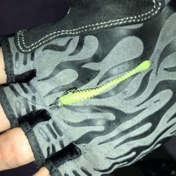 豆アジング　スタート