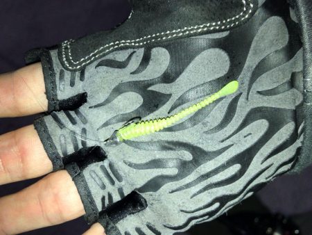 豆アジング　スタート