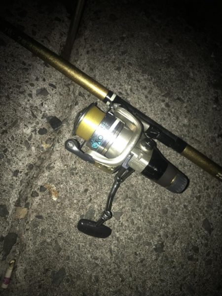 ヤエンでアオリイカGET