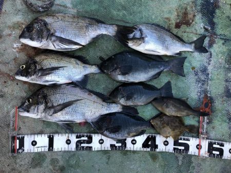 最近団子釣りにハマってます！