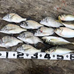 今年初の筏釣り