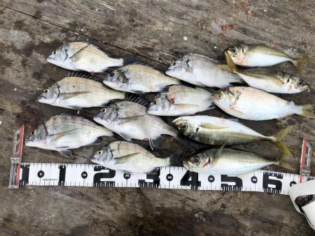 今年初の筏釣り