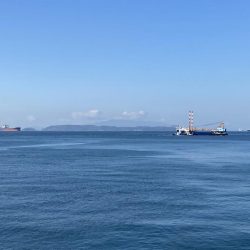 2枚のみだったが楽しめた