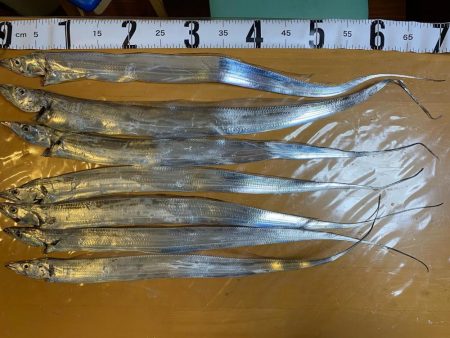 テンヤタチウオ