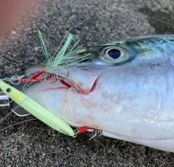 人生初の80オーバー