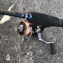 ライトワインドでオオモンハタGET