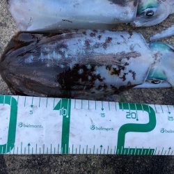 2022 佐渡ヶ島エギング 35回目【10月25日】