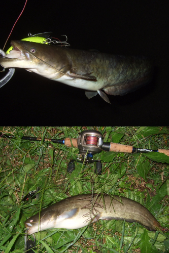 今回が今シーズンラスト釣行かも!?