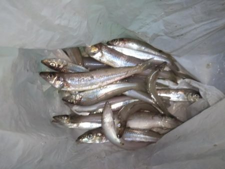 ちょい投げキス